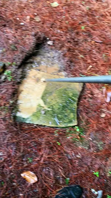 Phone clip of a stepping stone covered in moss